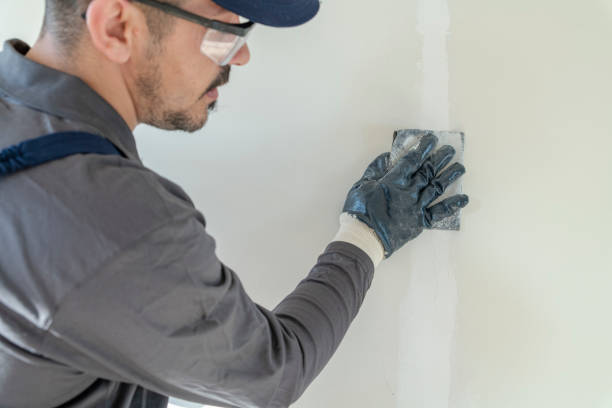 Best Drywall Sanding and Smoothing  in Dallas, GA