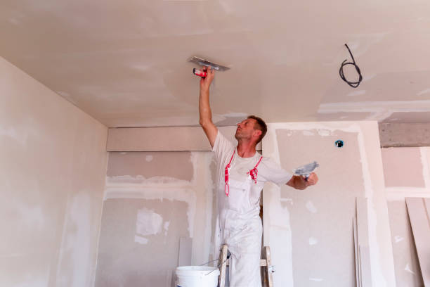 Best Fire-Damaged Drywall Repair  in Dallas, GA